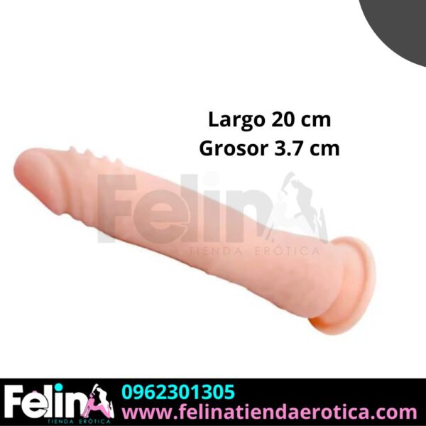 Dildo Realista Maru - Felina Sex Shop Tienda Erotica Ecuador (2)