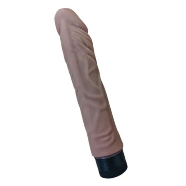 Vibrador Taison 22 cm a Pila